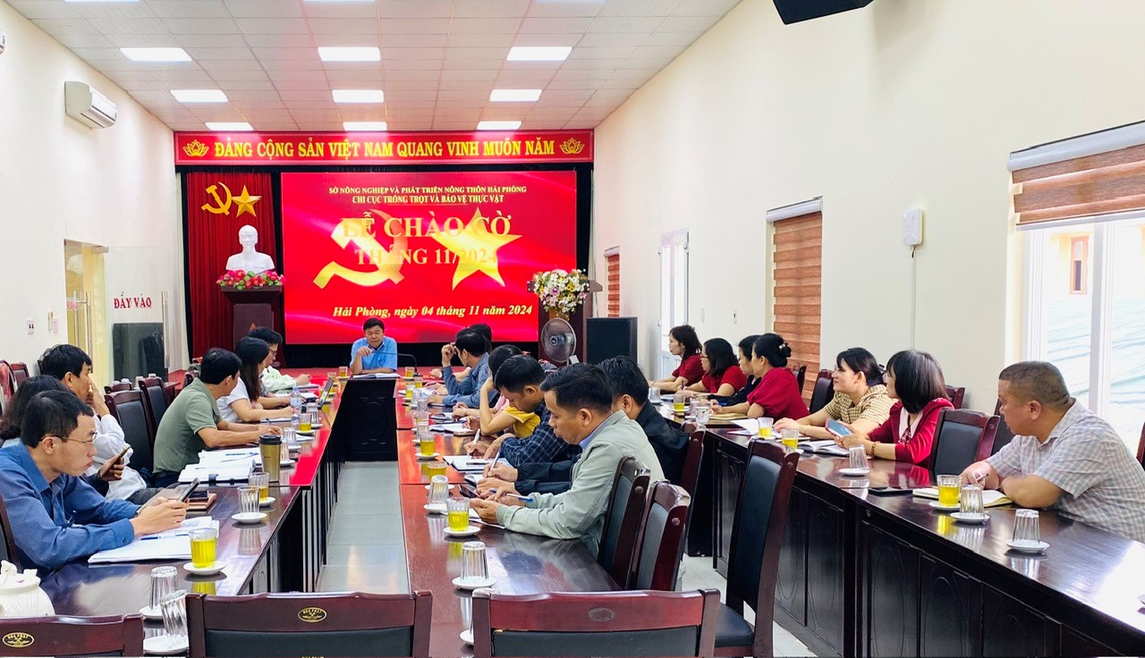 LỄ CHÀO CỜ, SINH HOẠT DƯỚI CỜ THÁNG 11/2024 CỦA  CHI CỤC TRỒNG TRỌT VÀ BẢO VỆ THỰC VẬT
